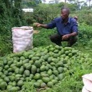 Agriculture Project