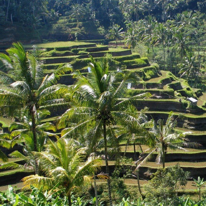 Natural Landscapes